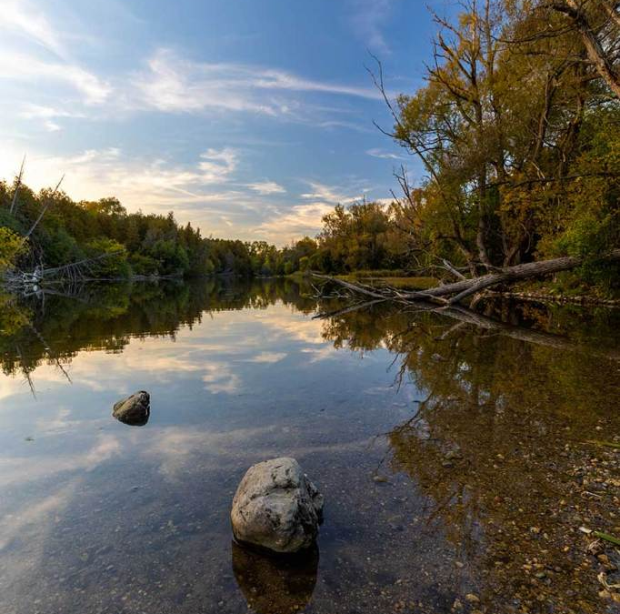 Adventures at Crane Park – Guelph