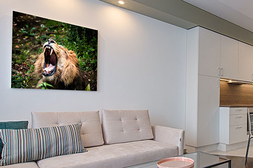 Example canvas art work of a Lion