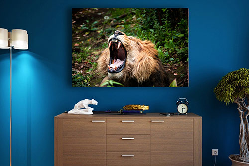 Example canvas art work of a Lion